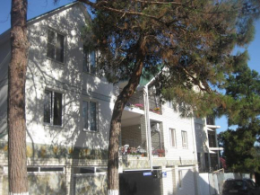 Guest house Chetyre podkovy